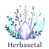 cropped logo website 1.png